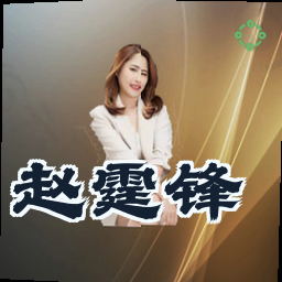 赵霆锋